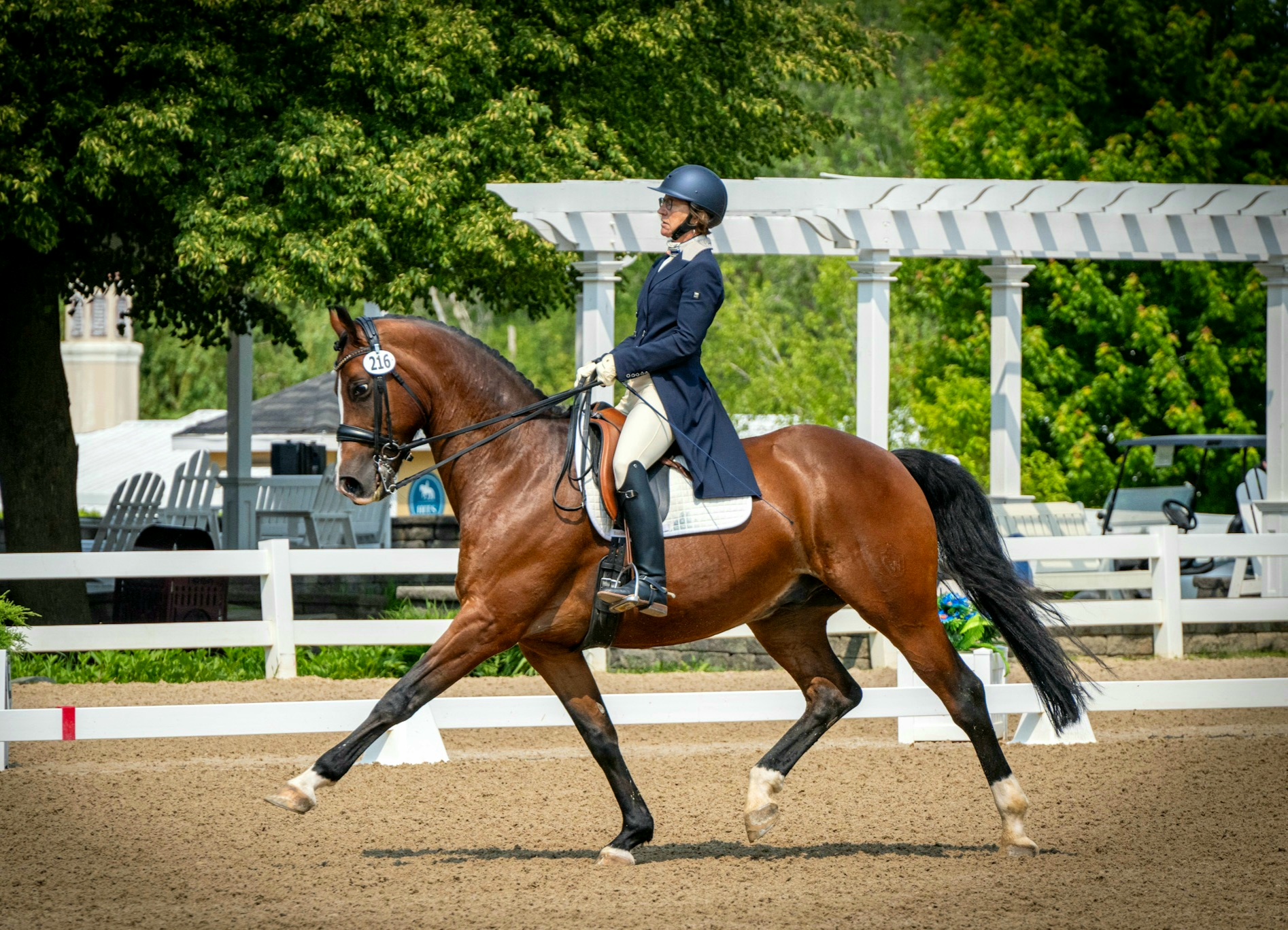 Barb in the arena with her horse